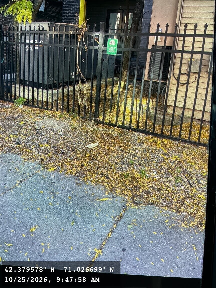 Image submitted with report