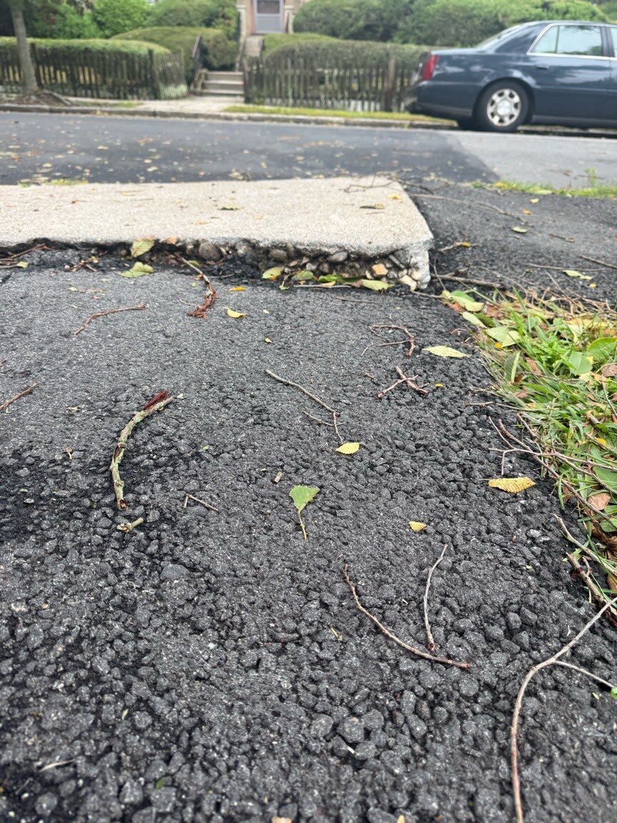 Image submitted with report
