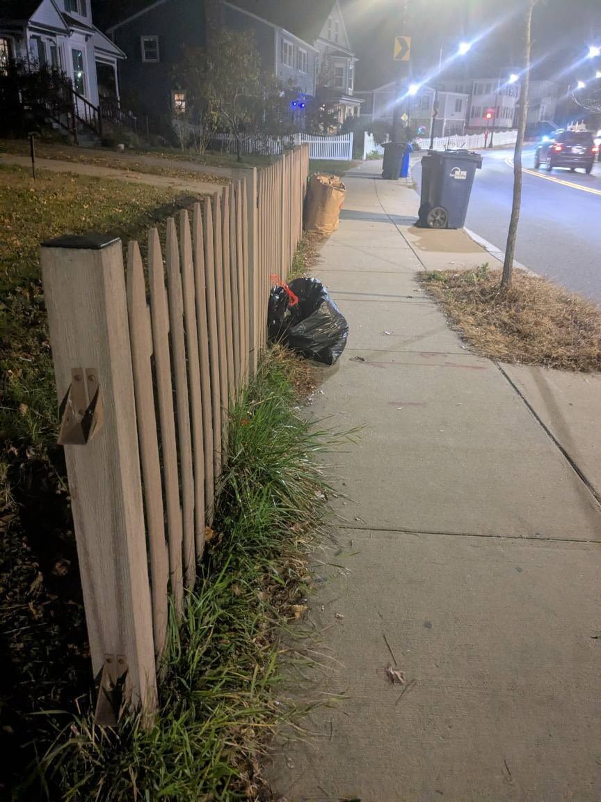 Image submitted with report