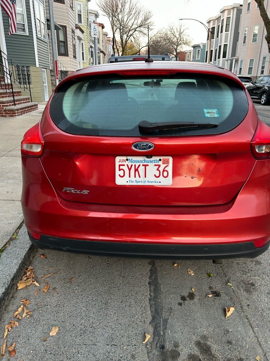 Image submitted with report