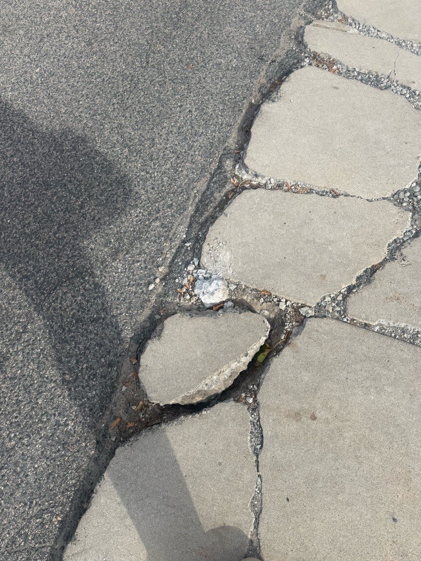 Image submitted with report