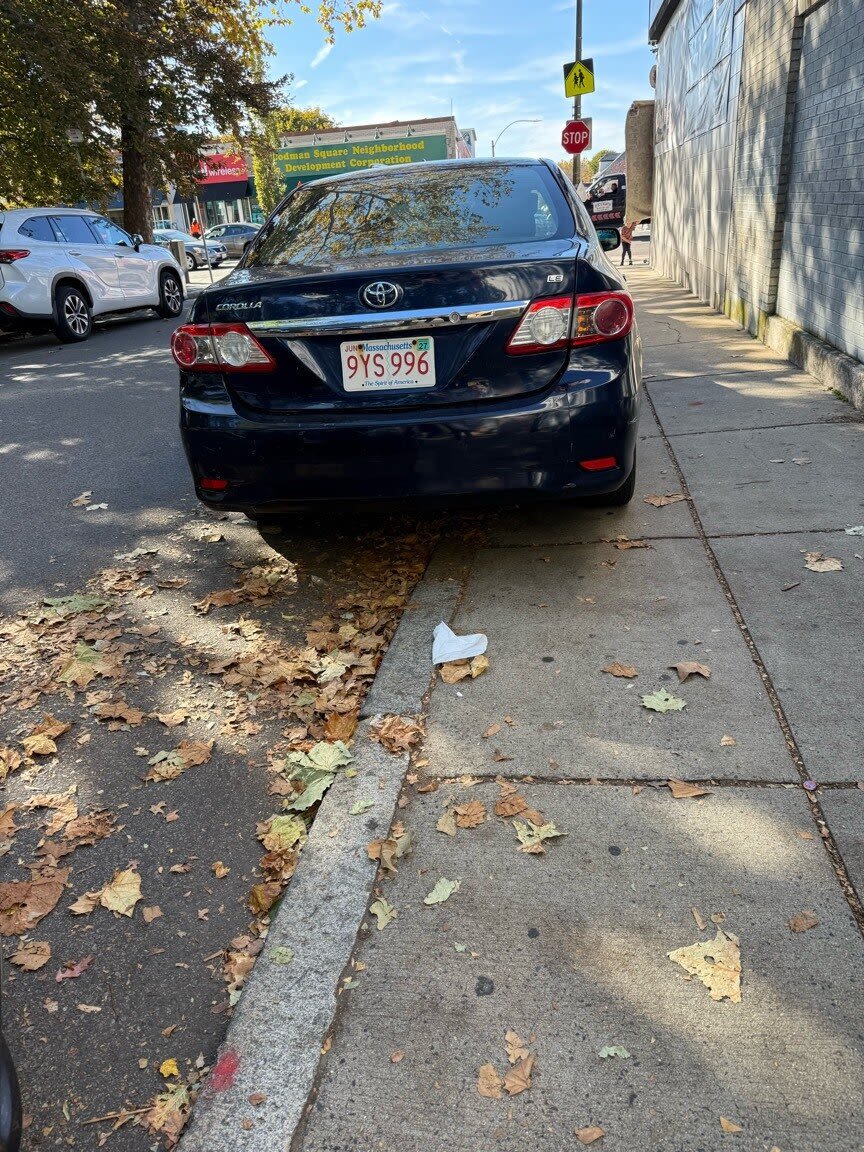 Image submitted with report