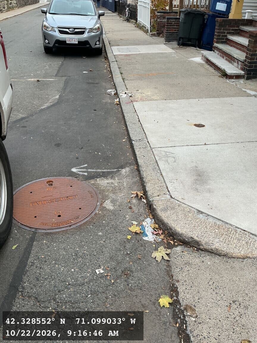 Image submitted with report