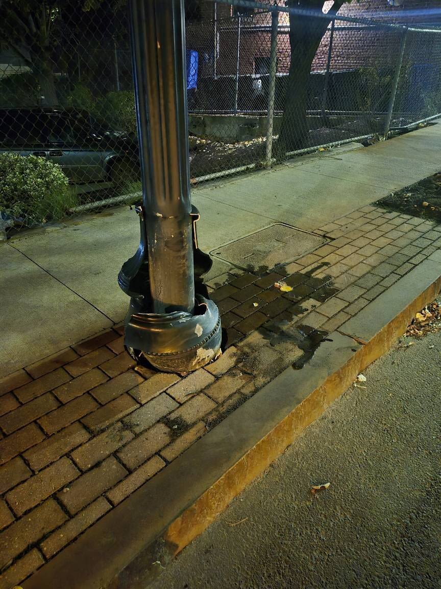 Image submitted with report