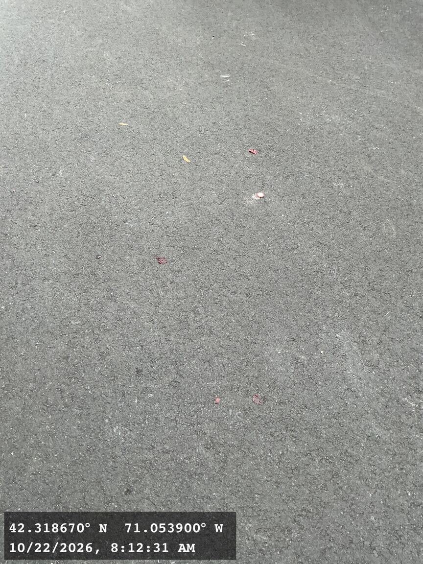 Image submitted with report