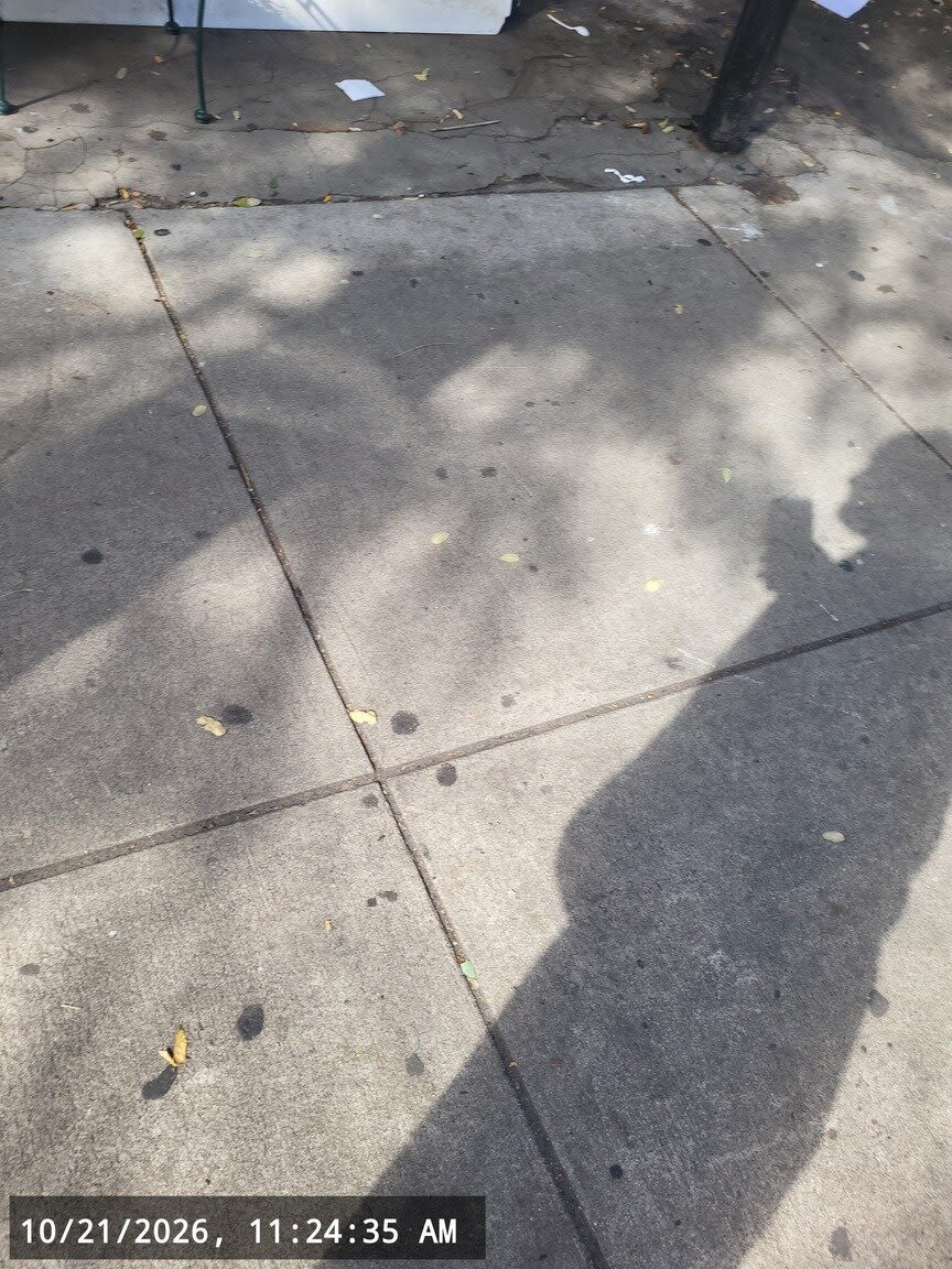 Image submitted with report