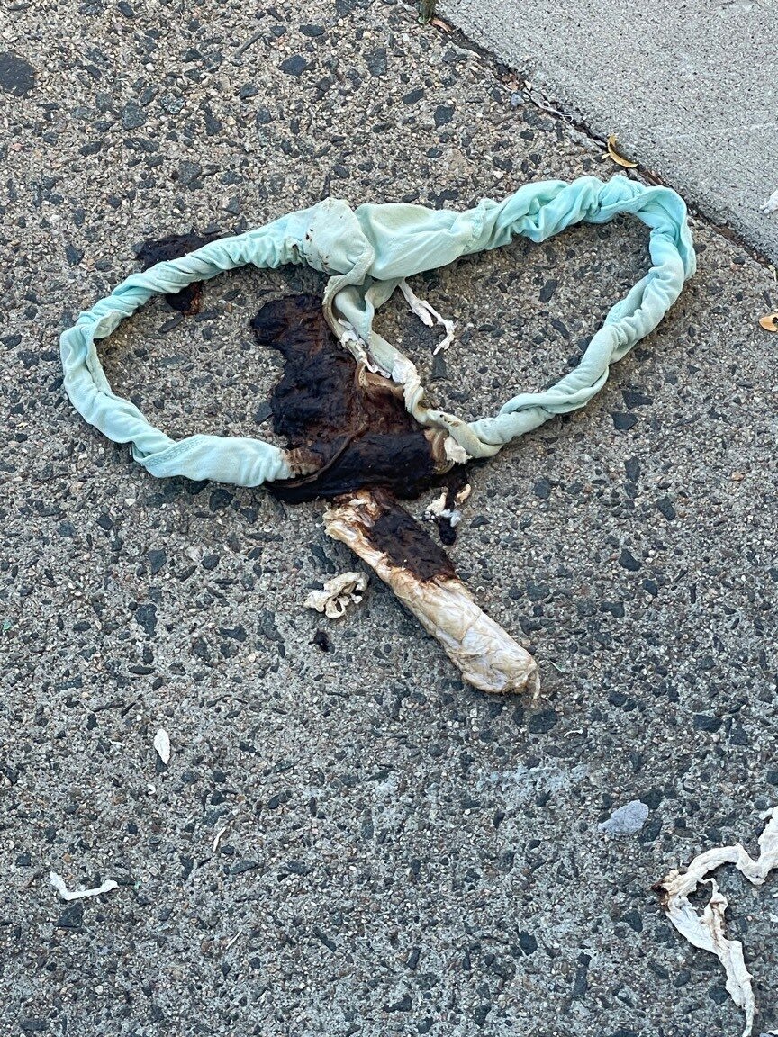 Image submitted with report