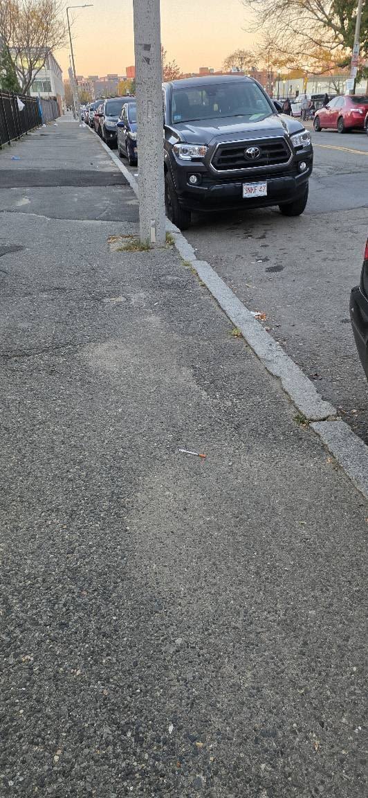 Image submitted with report