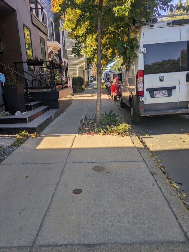 Image submitted with report