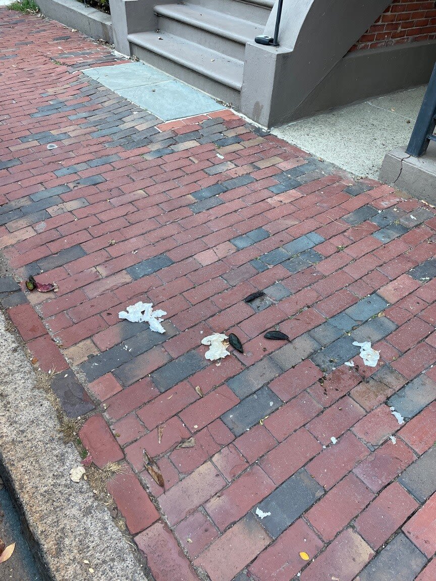 Image submitted with report