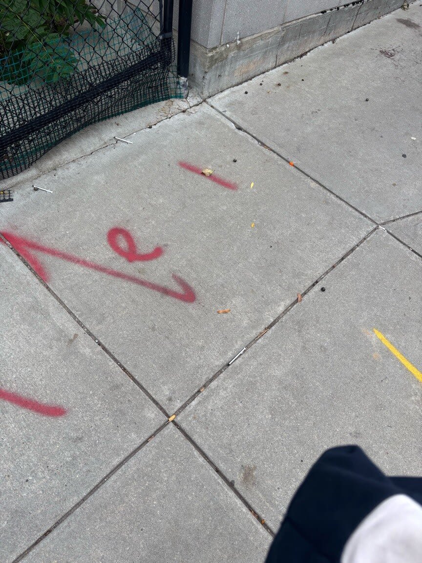 Image submitted with report