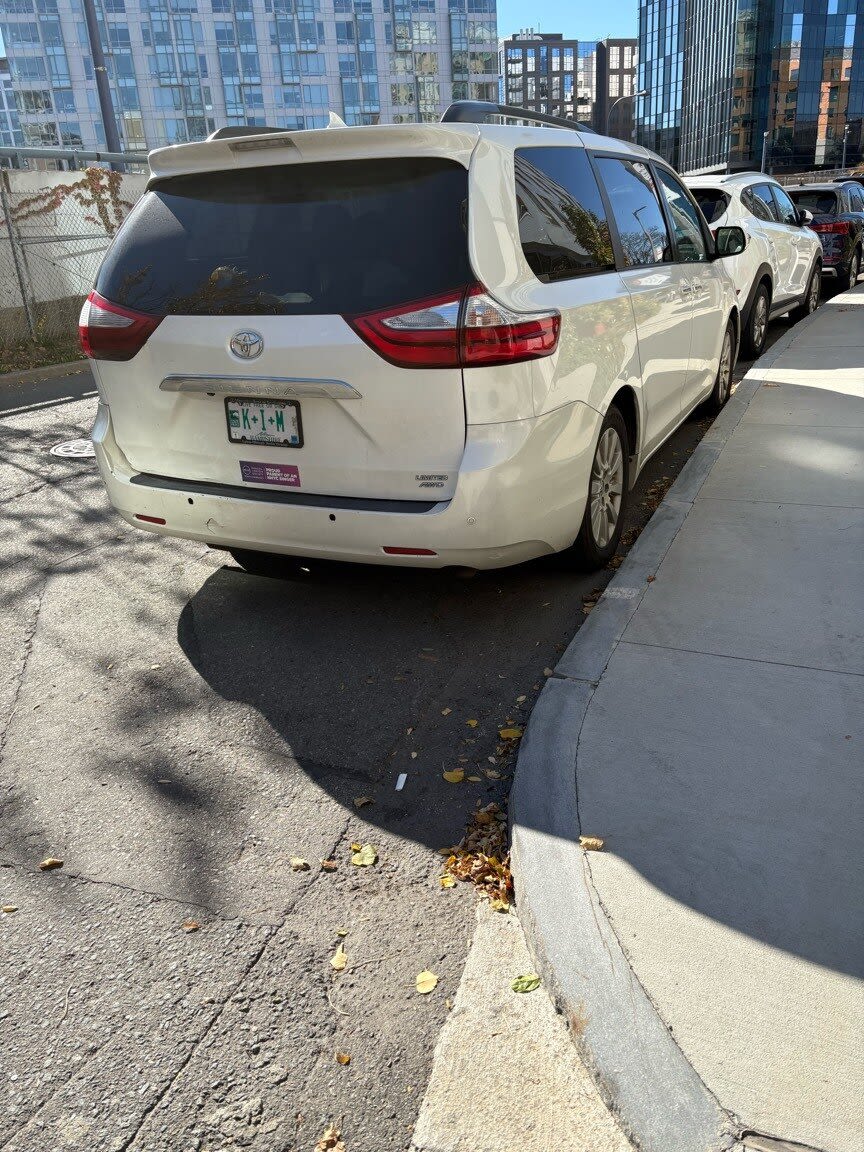 Image submitted with report