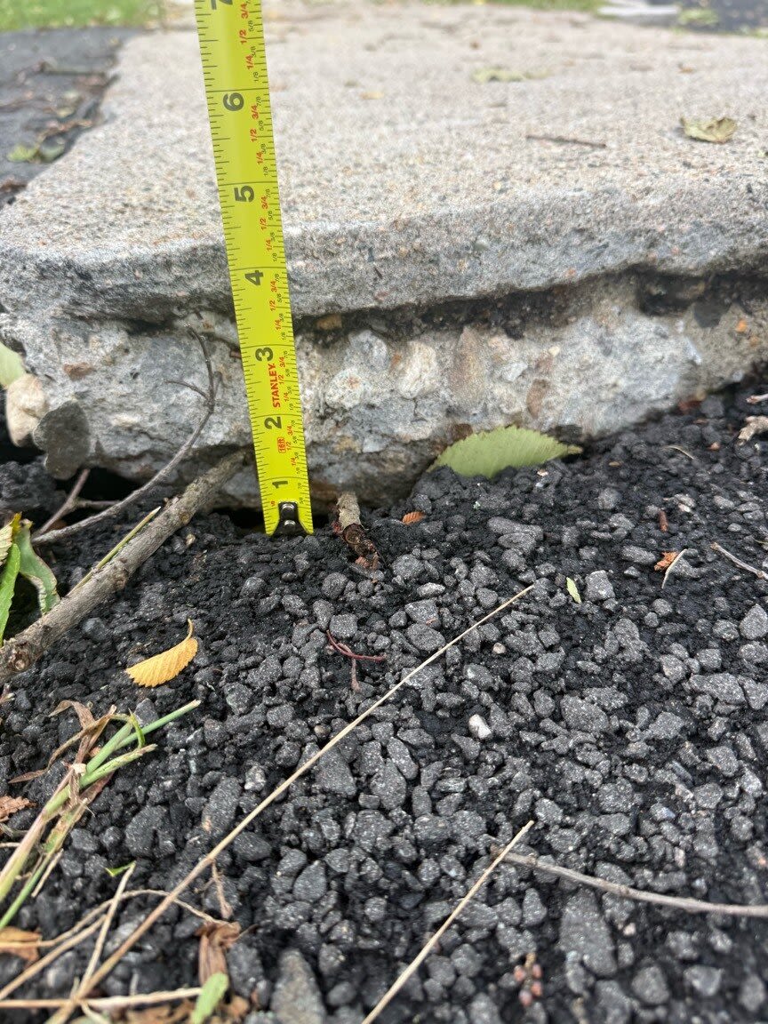 Image submitted with report