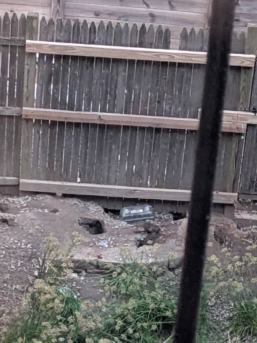 Image submitted with report