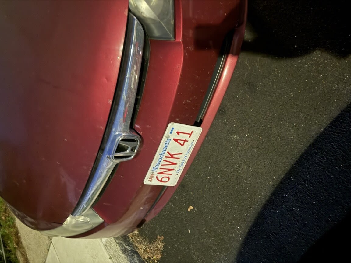 Image submitted with report