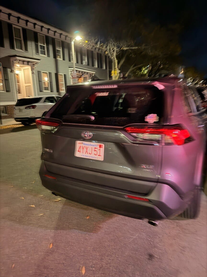 Image submitted with report