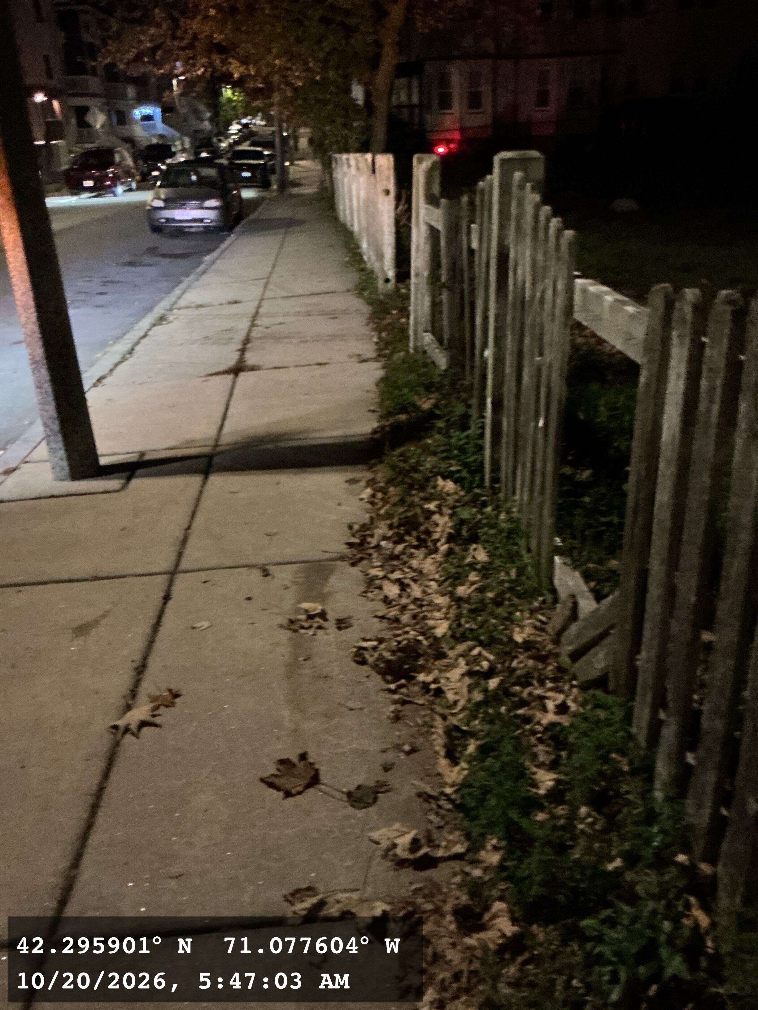 Image submitted with report