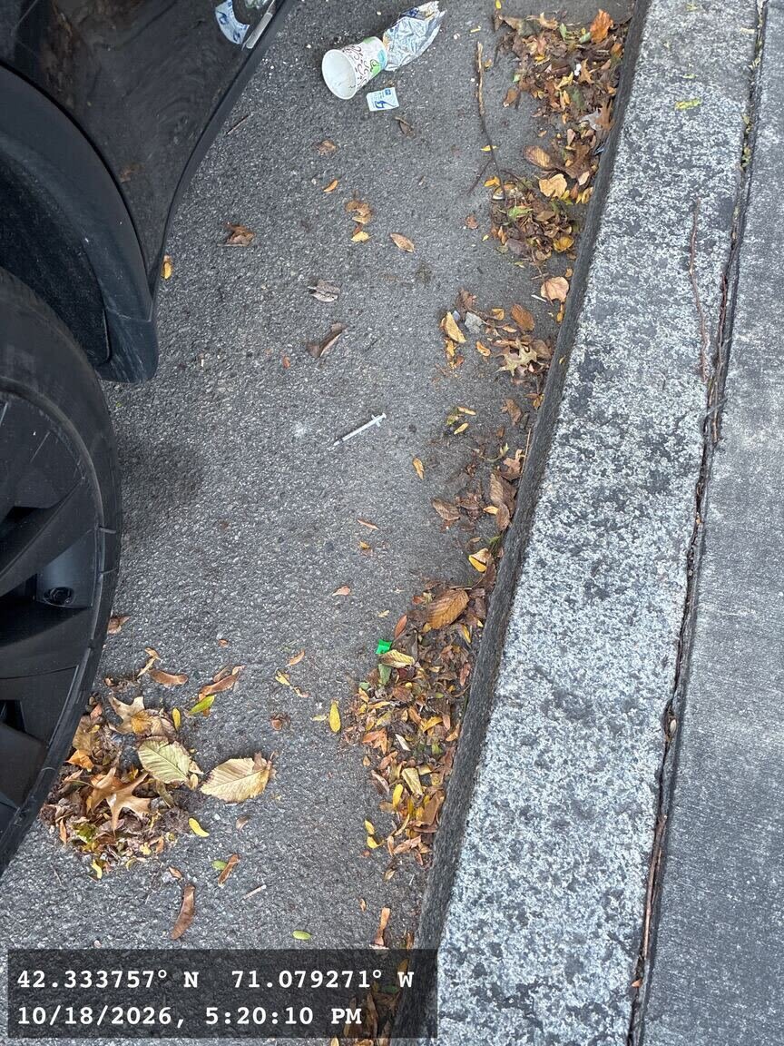 Image submitted with report