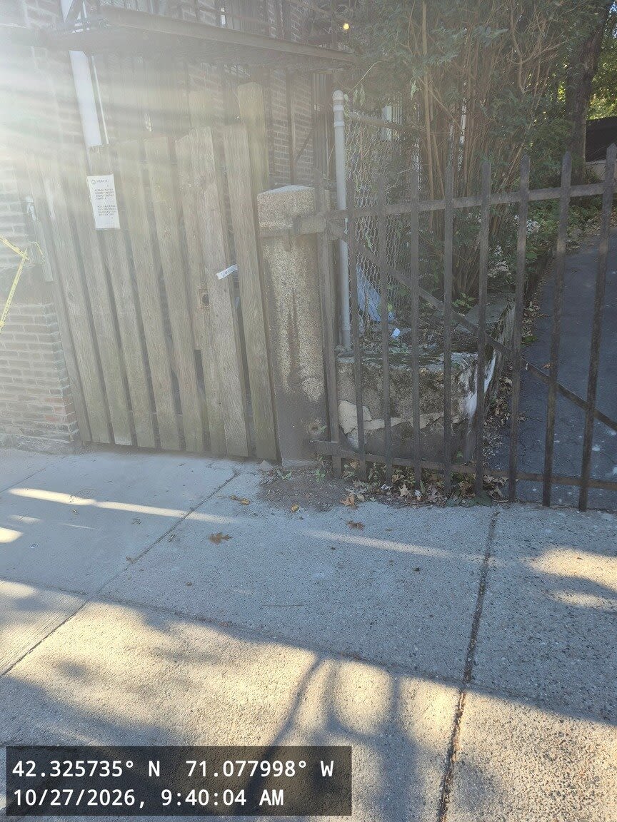 Image submitted with report