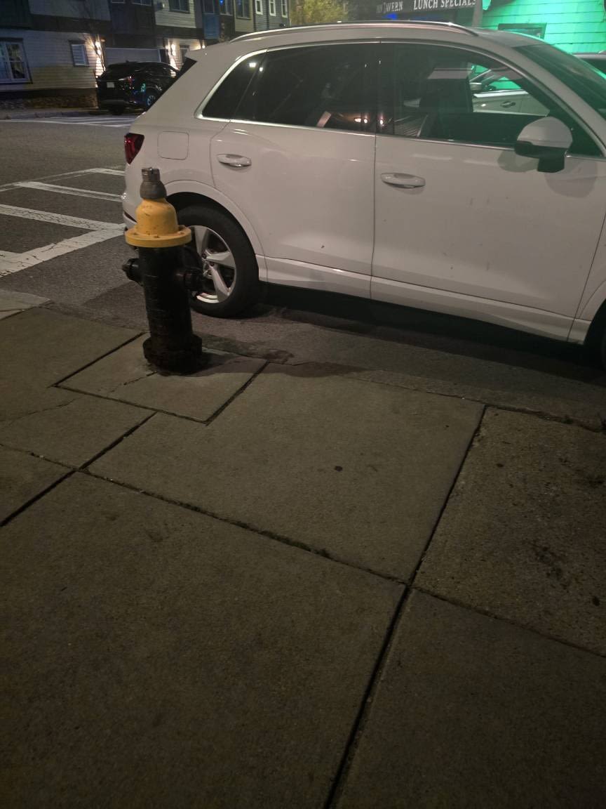 Image submitted with report