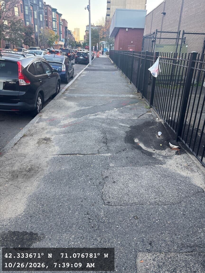 Image submitted with report