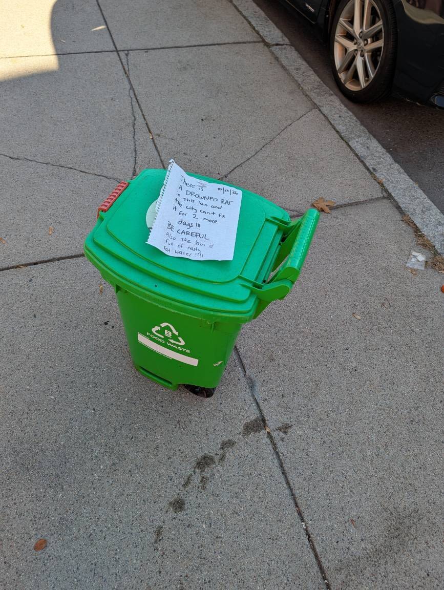 Image submitted with report