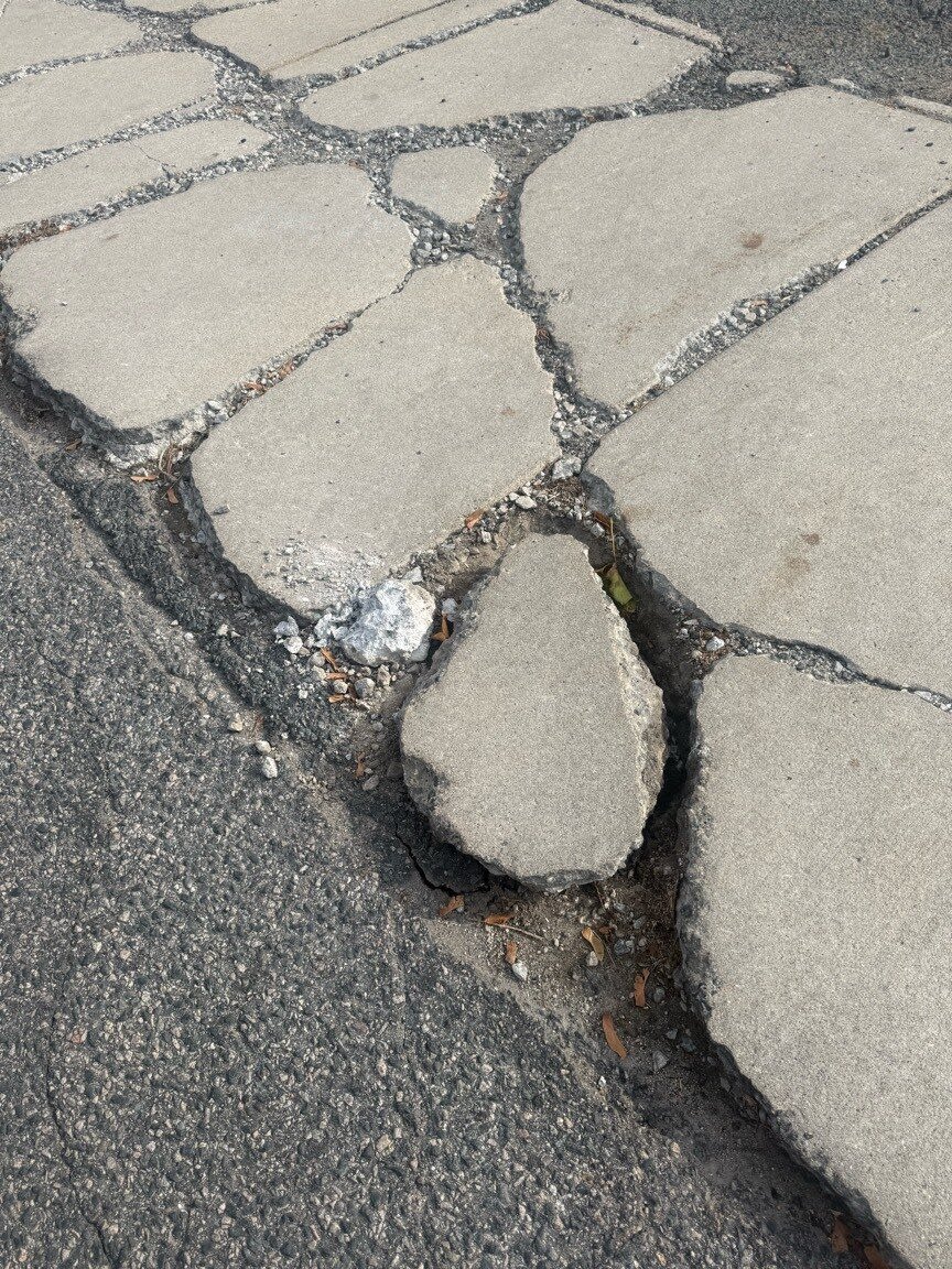 Image submitted with report