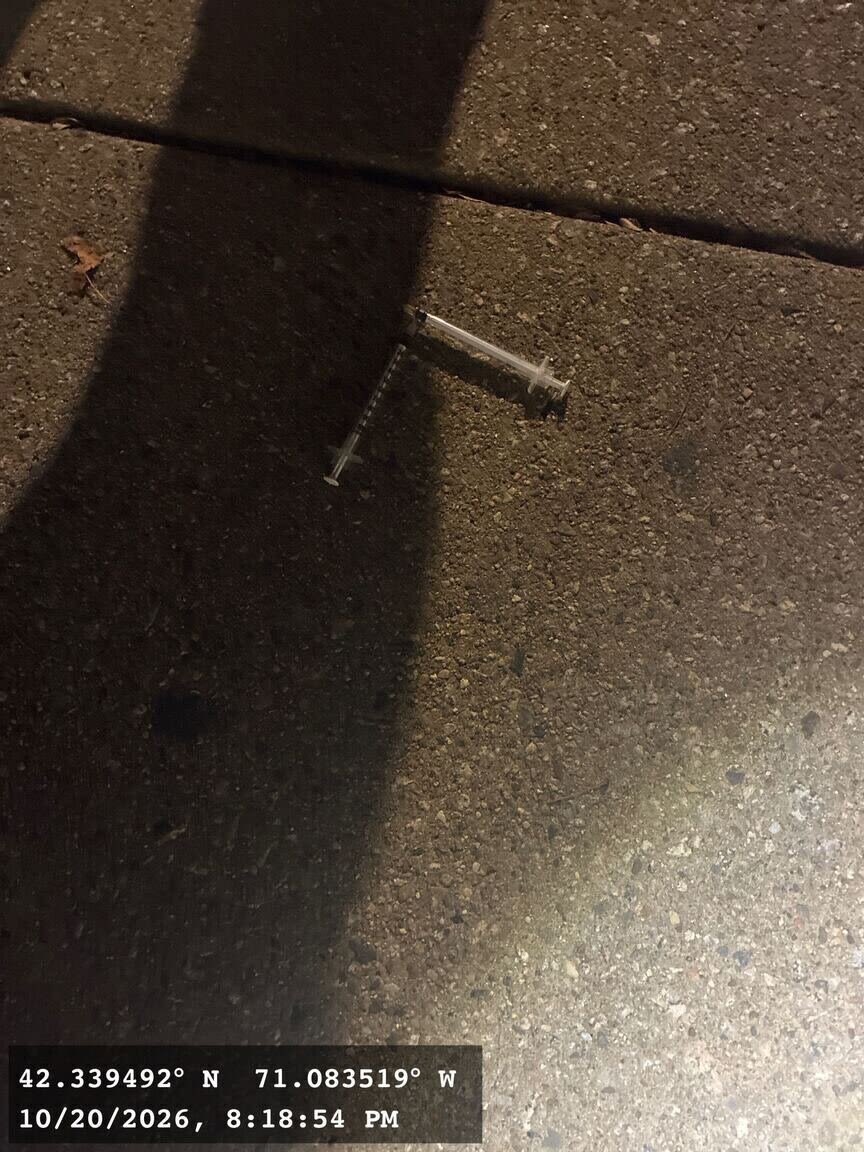 Image submitted with report