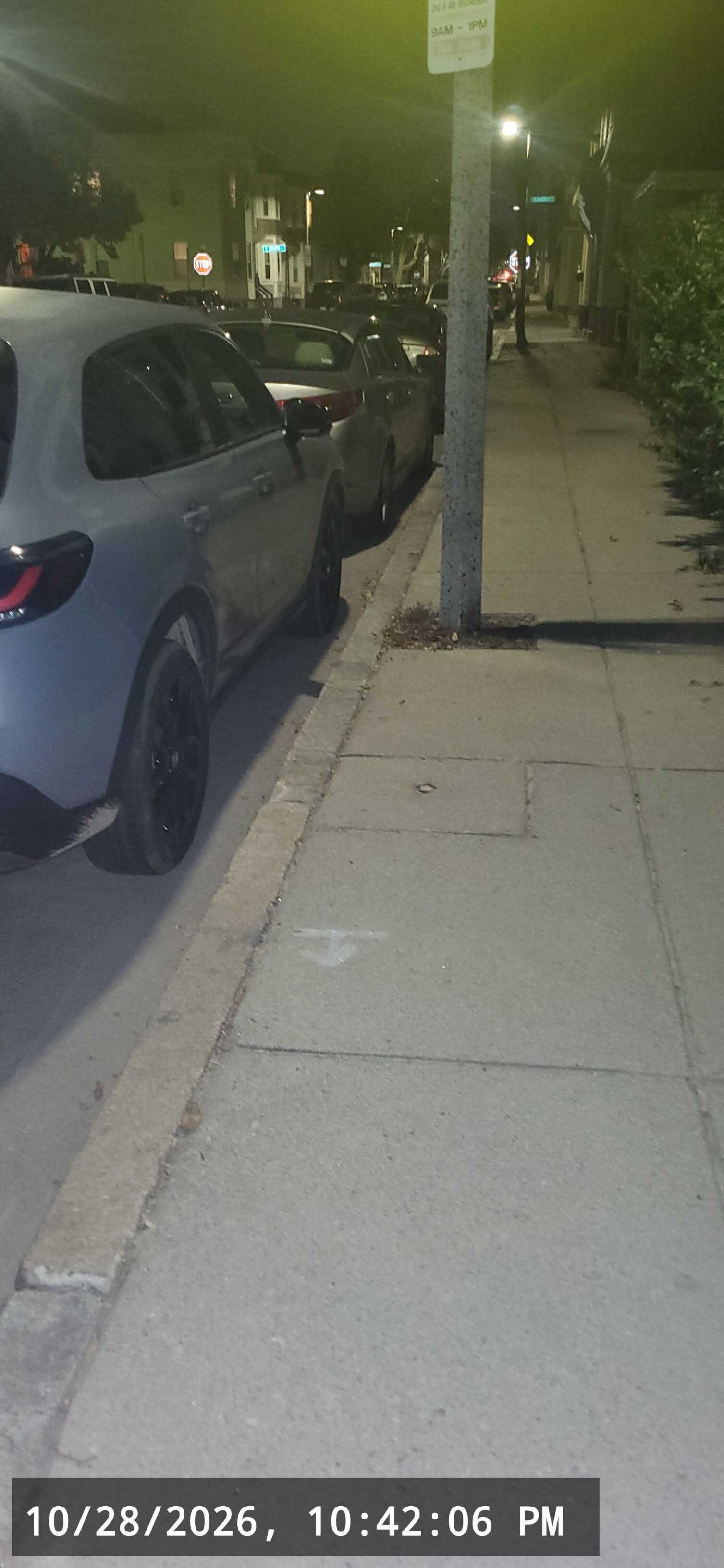 Image submitted with report