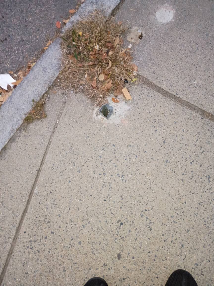 Image submitted with report