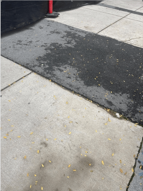 Image submitted with report