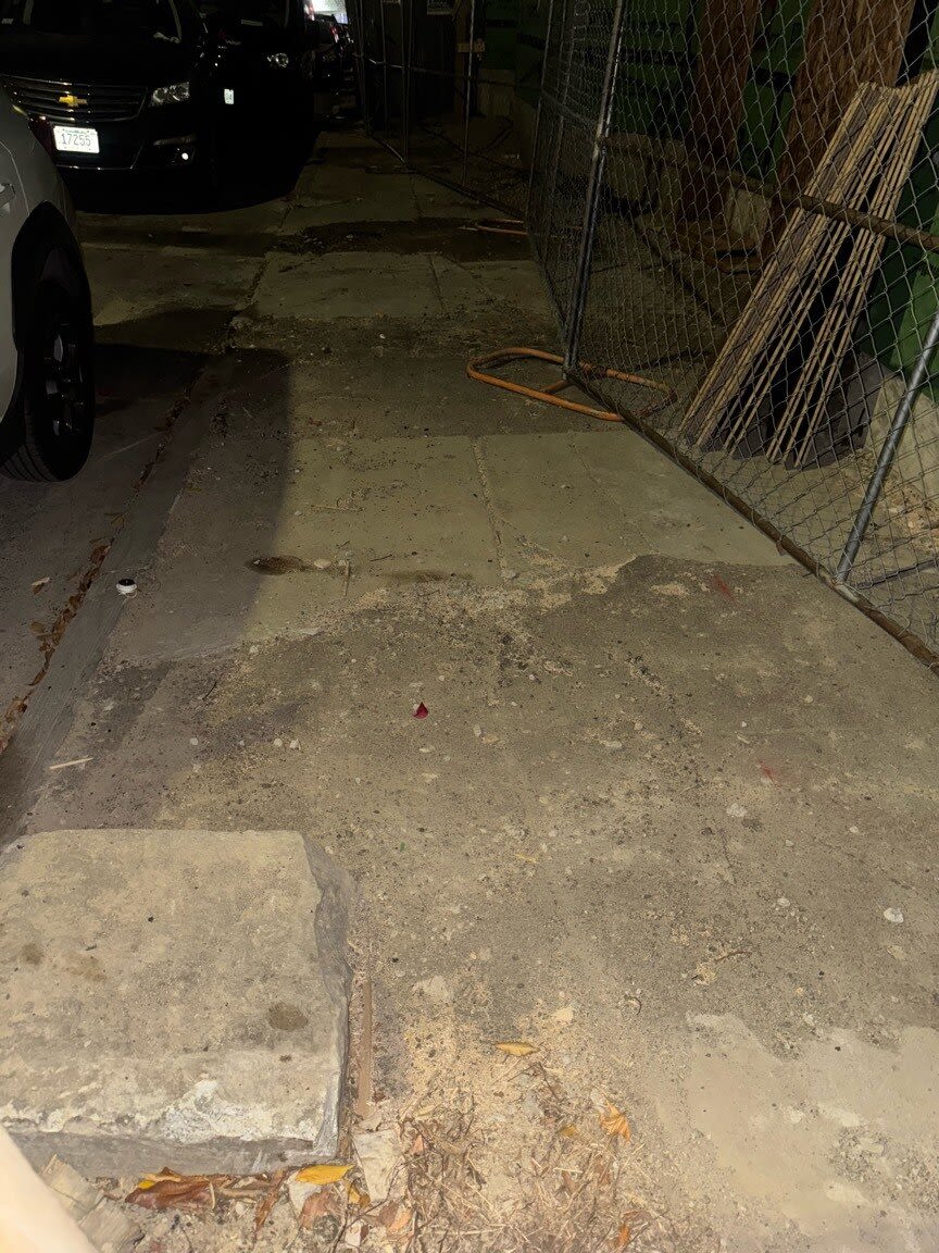 Image submitted with report