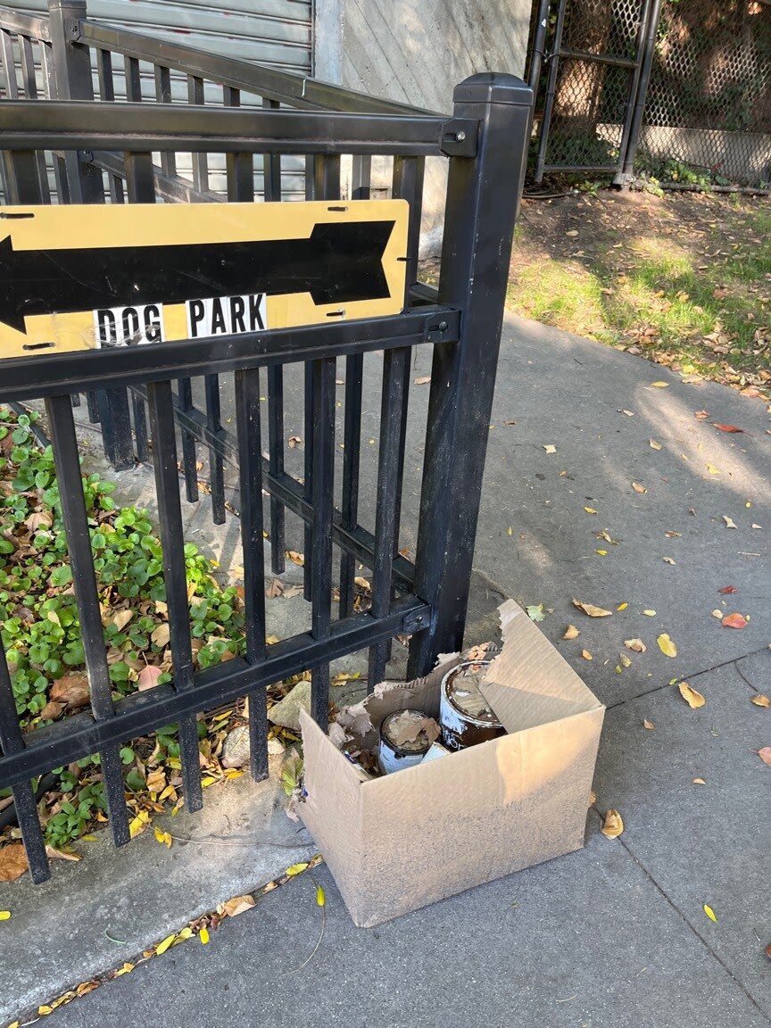 Image submitted with report