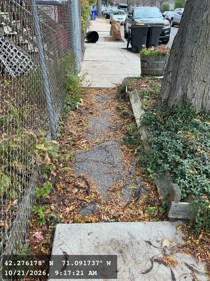 Image submitted with report