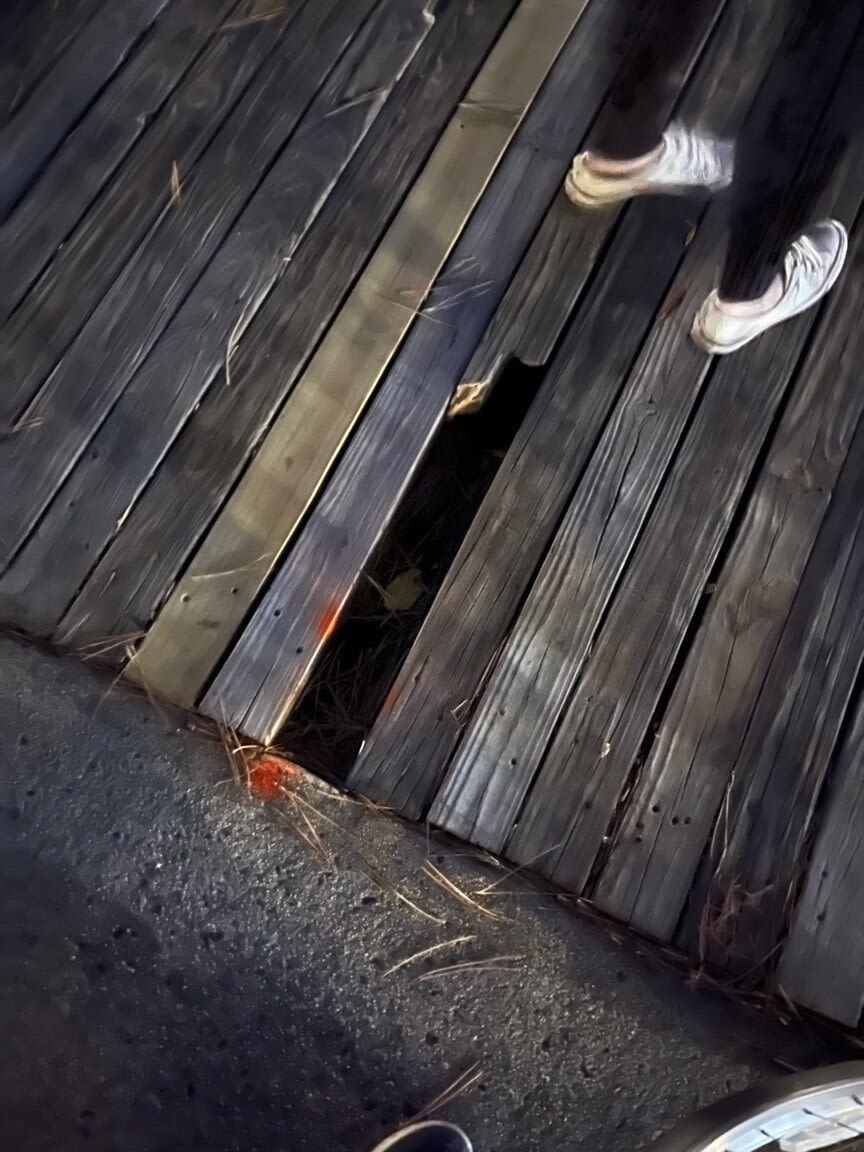 Image submitted with report