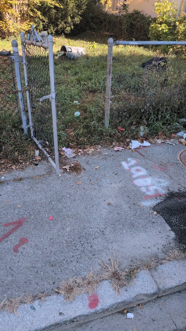 Image submitted with report