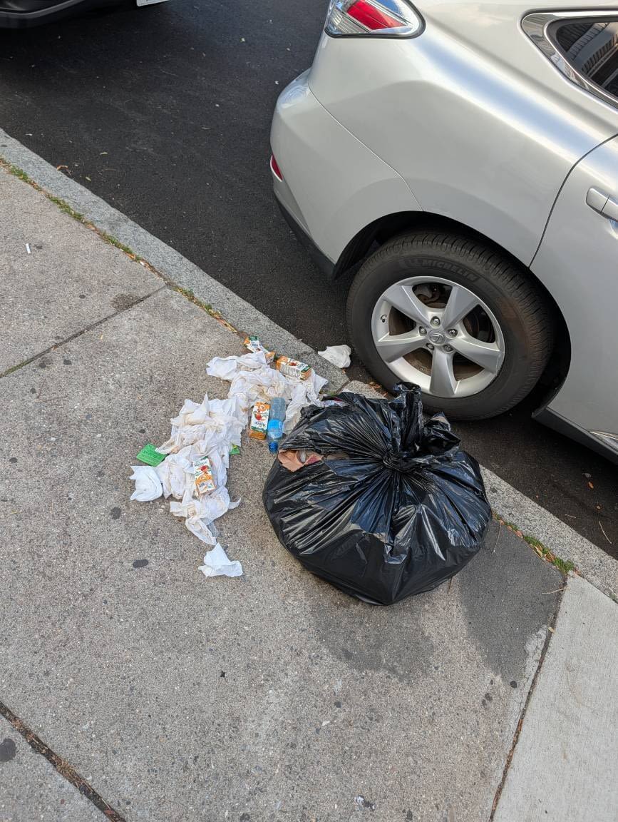 Image submitted with report