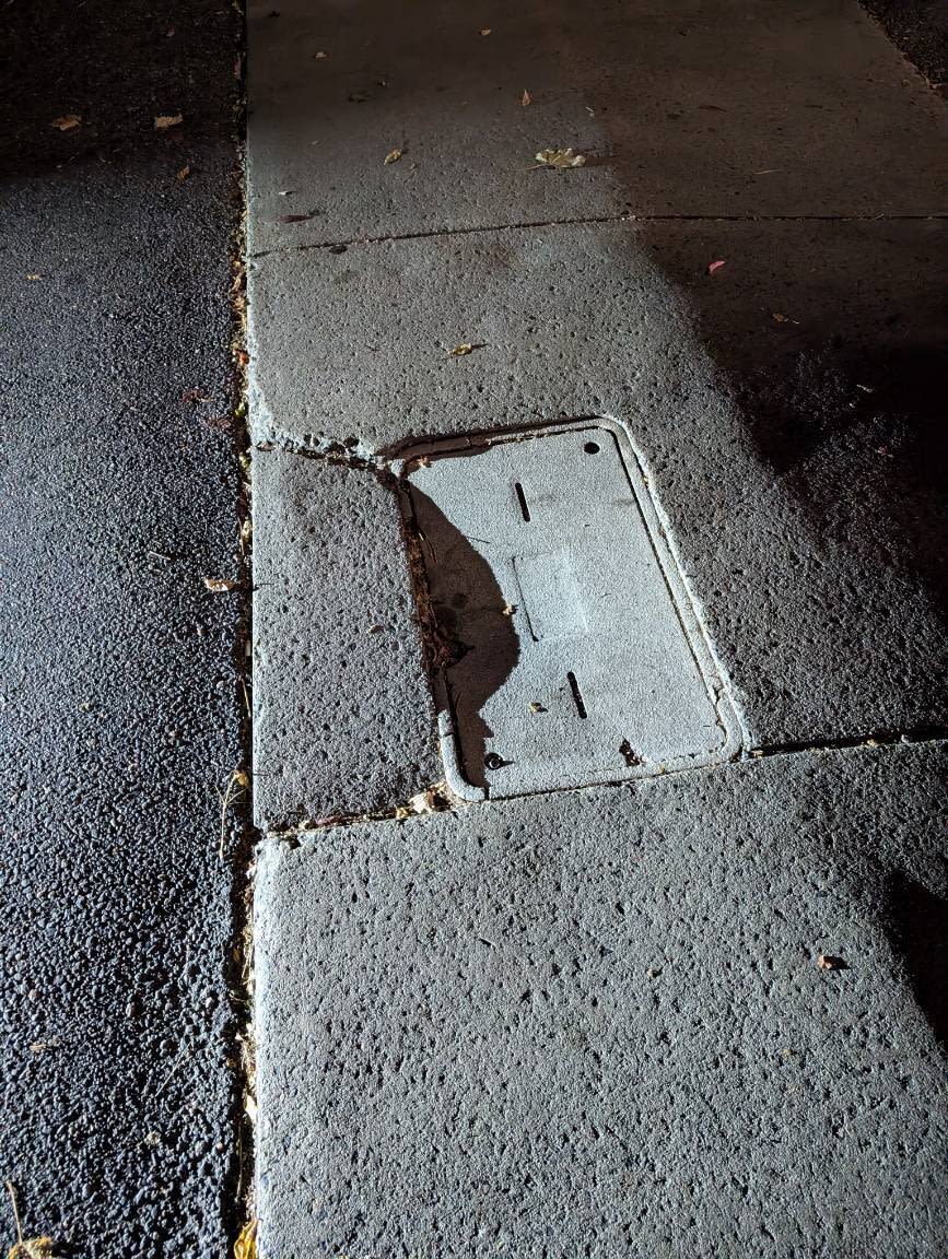 Image submitted with report