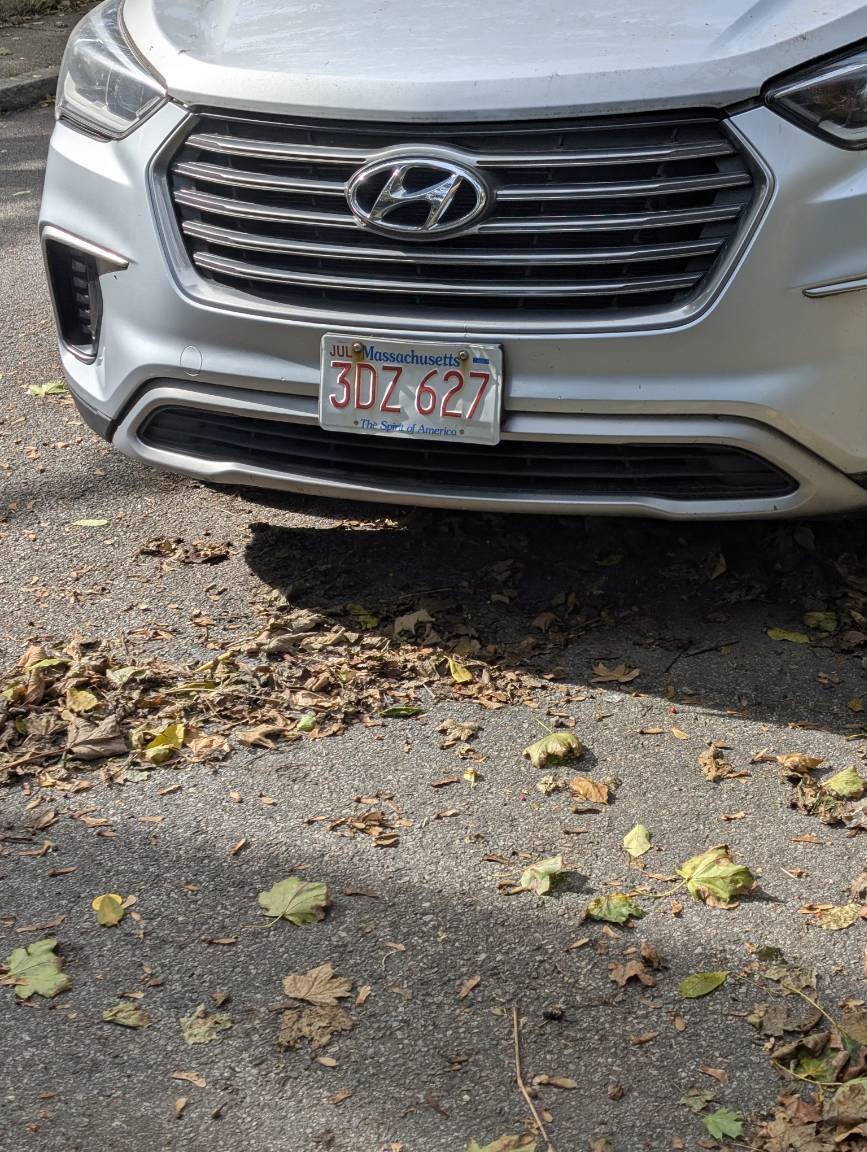 Image submitted with report