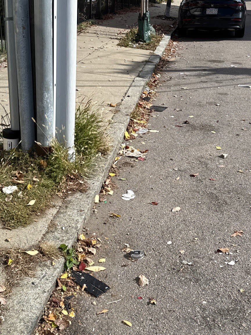 Image submitted with report