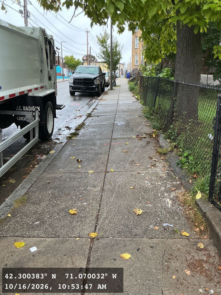 Image submitted with report