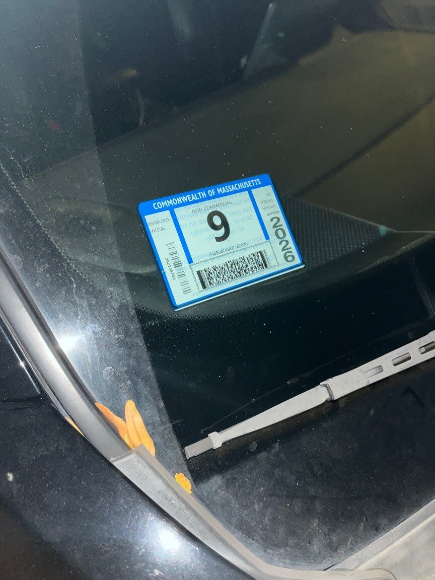 Image submitted with report