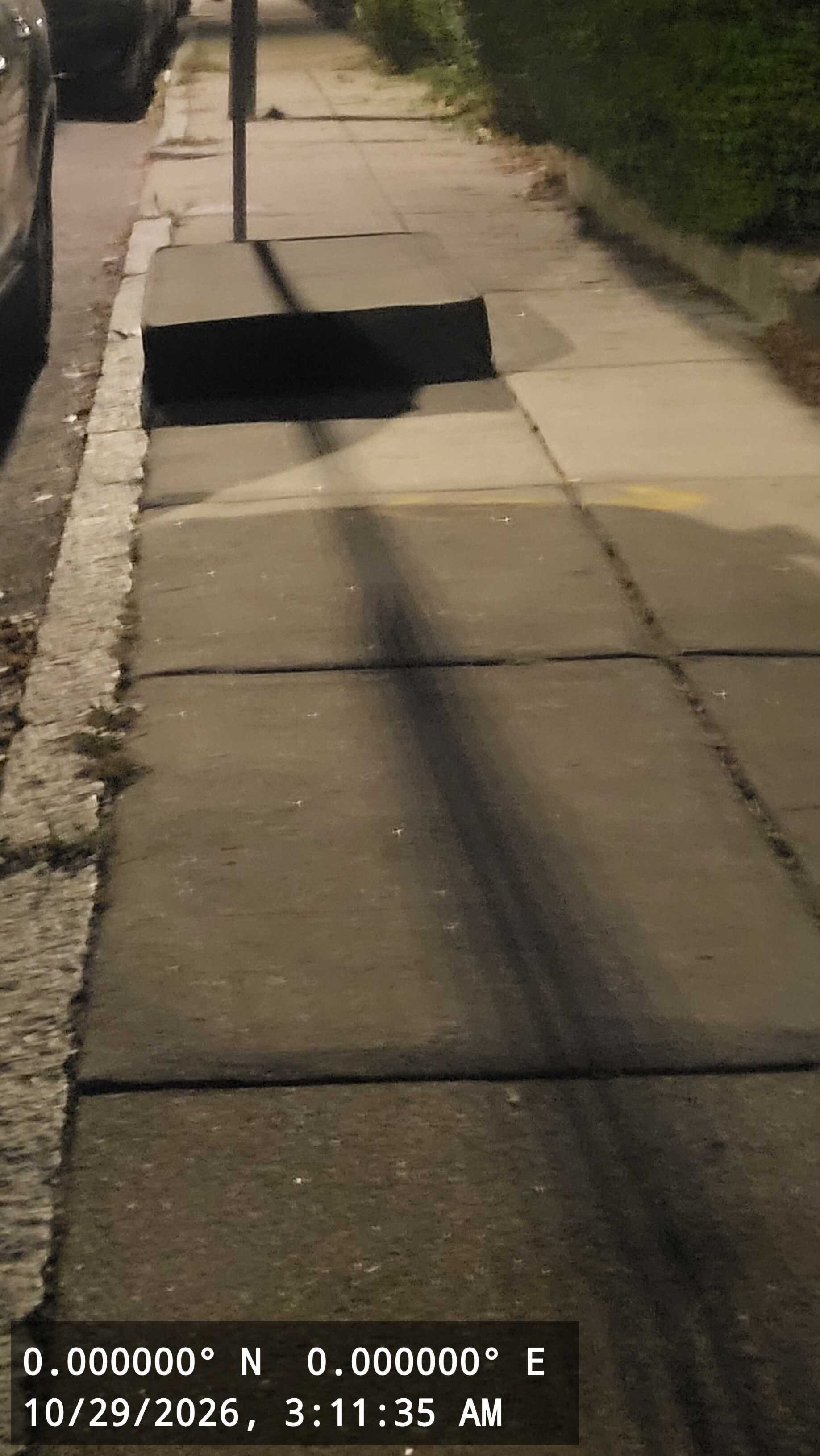 Image submitted with report