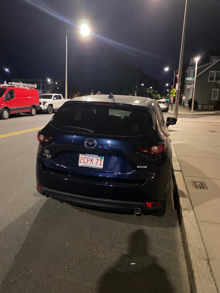 Image submitted with report
