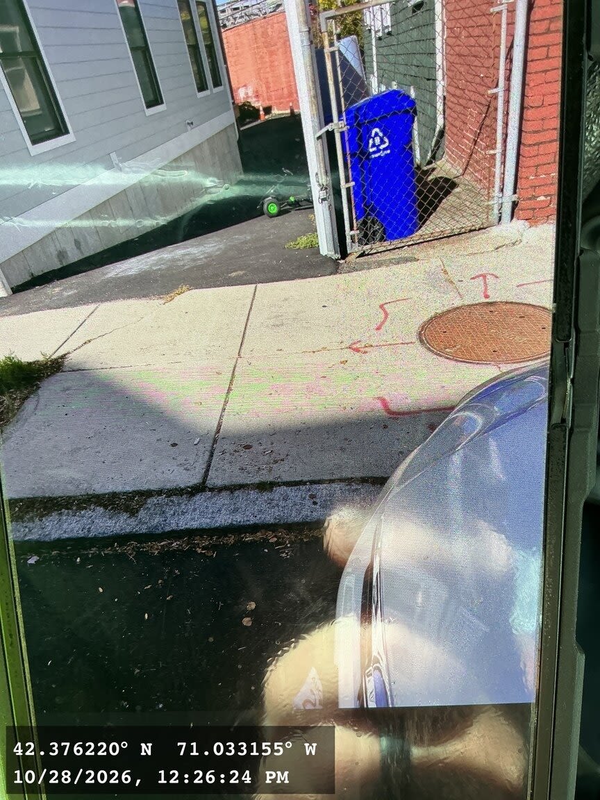 Image submitted with report