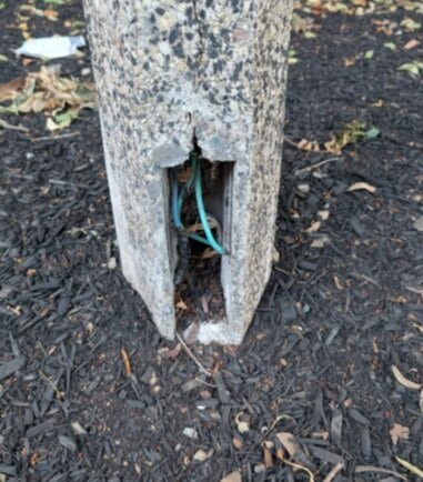 Image submitted with report