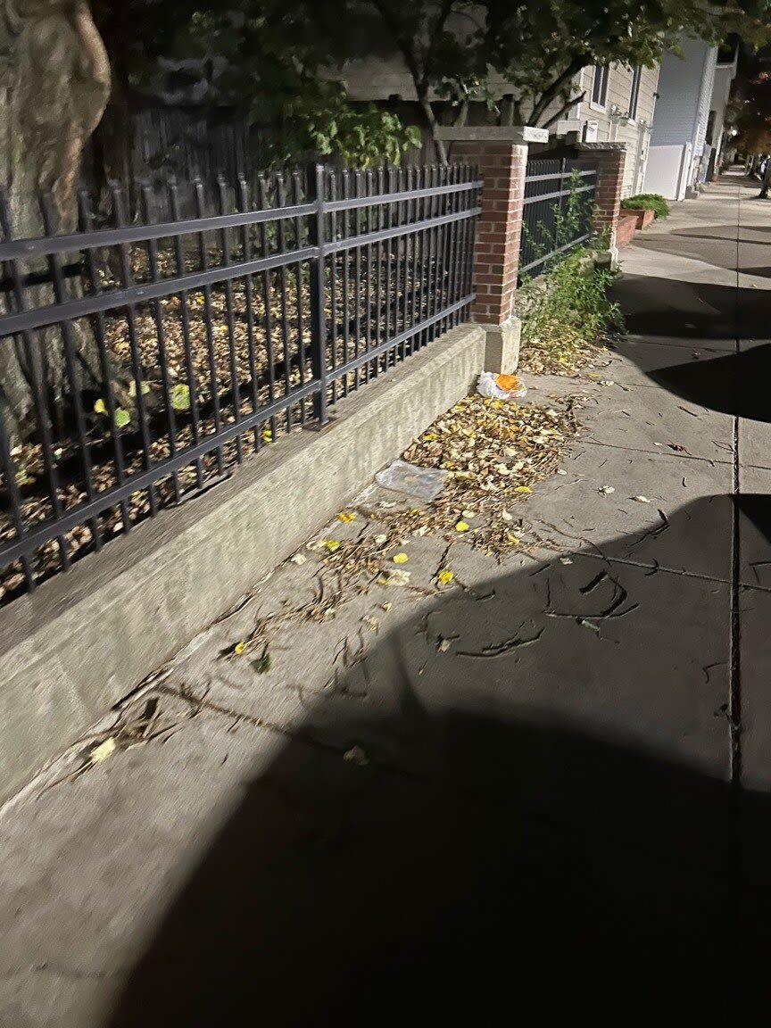 Image submitted with report