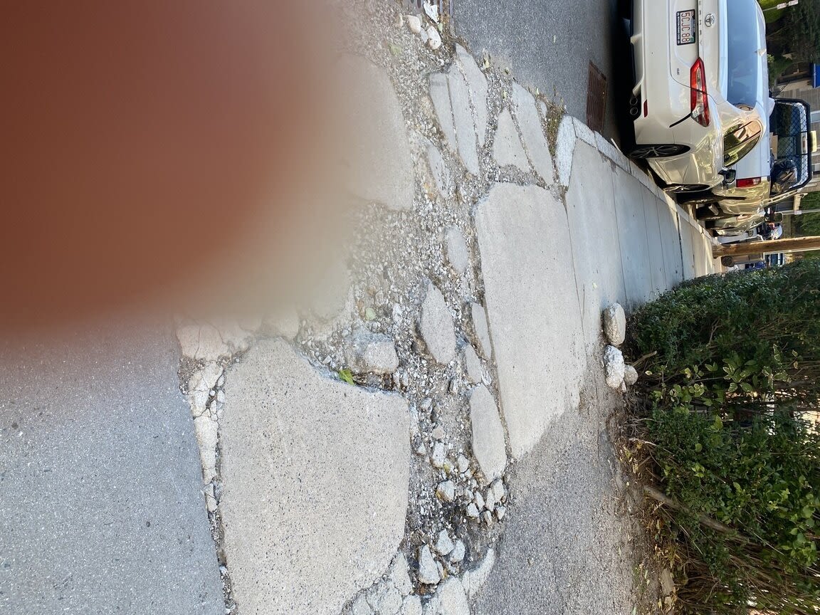 Image submitted with report
