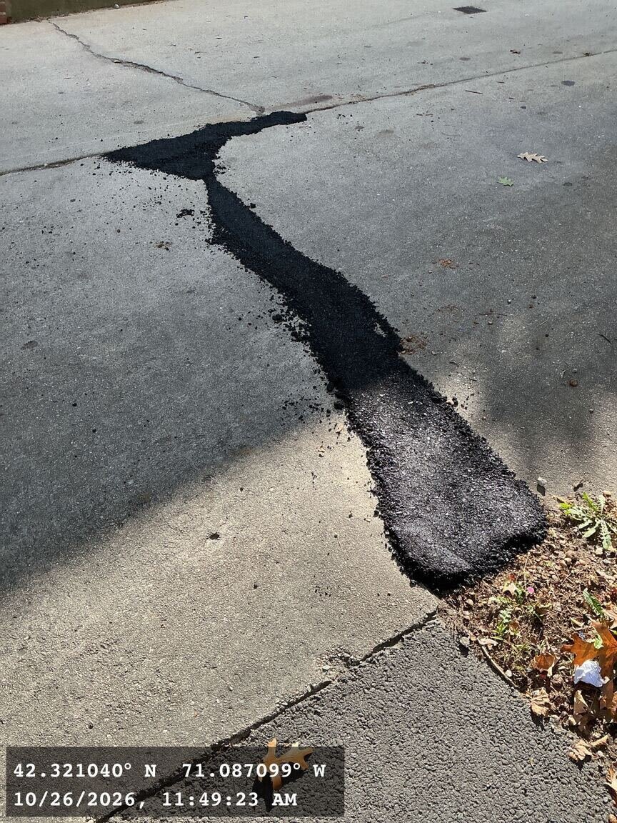 Image submitted with report