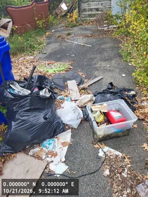 Image submitted with report